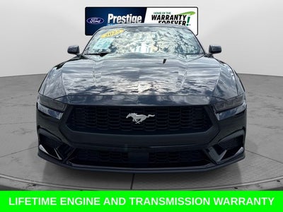 2025 Ford Mustang EcoBoost