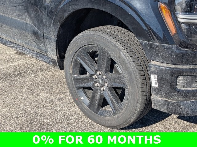 2025 Ford F-150 STX LOBO