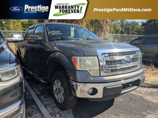2013 Ford F-150 XLT