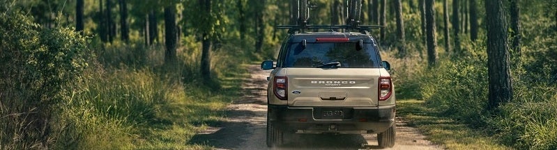 Bronco Driving in Forest
