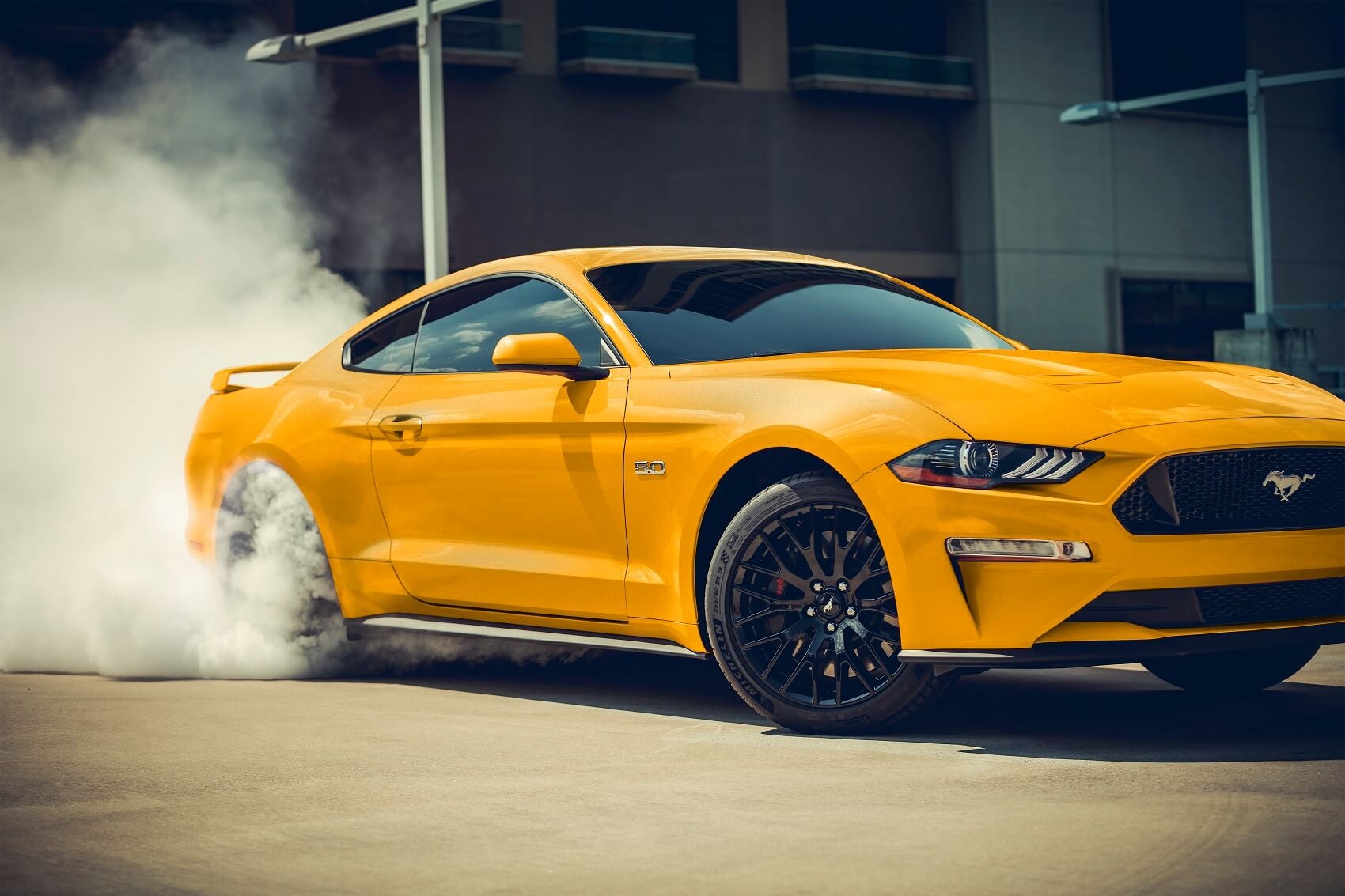 Tailor-Made Ford Vehicles